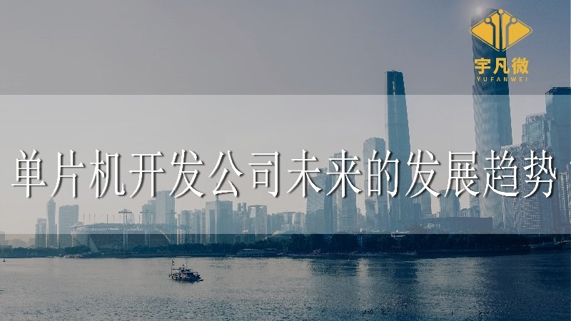 單片機(jī)開(kāi)發(fā)公司未來(lái)的發(fā)展趨勢(shì)